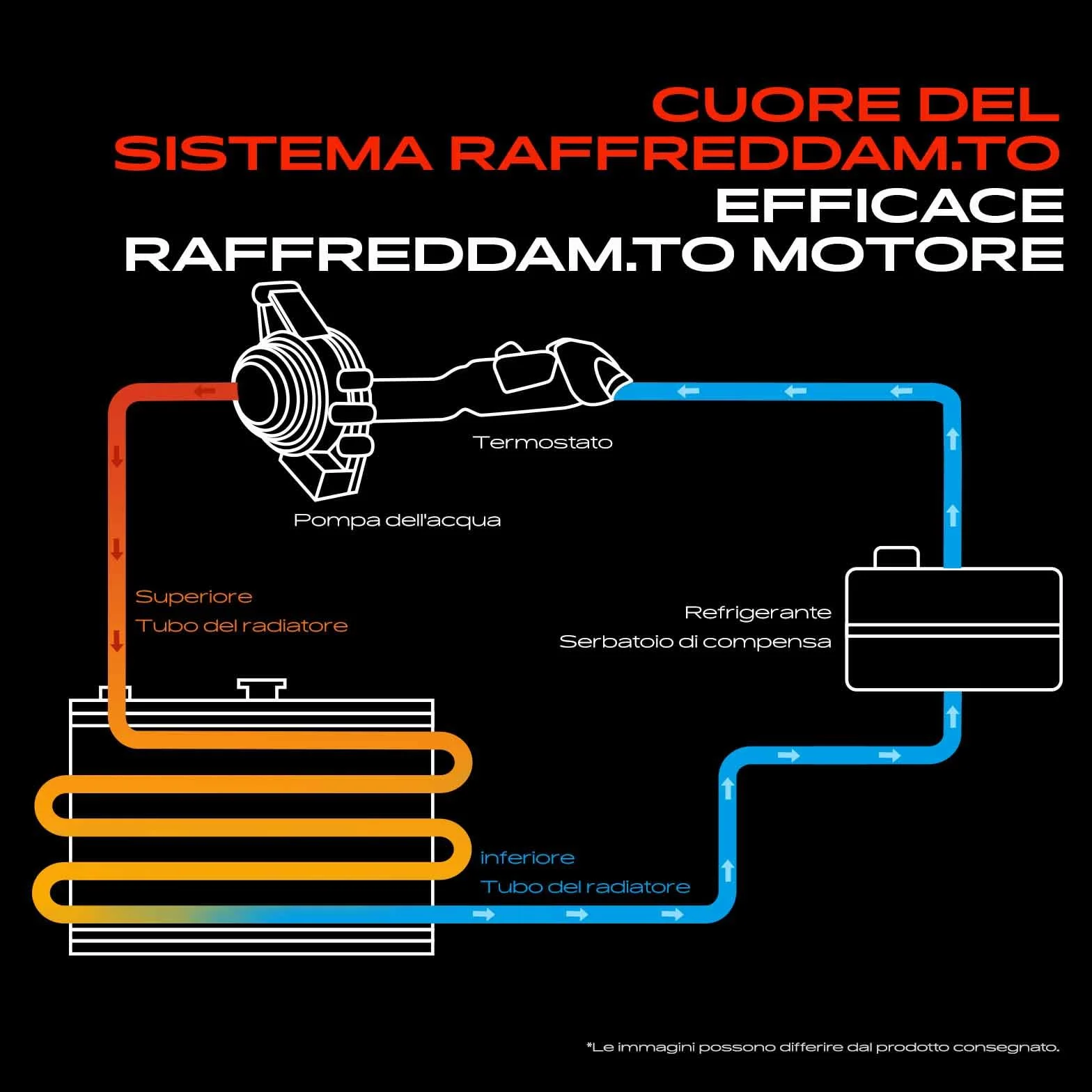 Frankberg Tubo del radiatore Tubo dell'acqua di raffreddamento Compatibile con A3 8P1 A3 Cabriolet 8P7 A3 Sportback 8PA Altea 5P1 Altea XL 5P5 5P8 Cordoba 6L2 Ibiza III 6L1 Replace# 03G121065AC